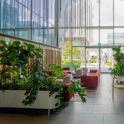 משרדי אלון שץ